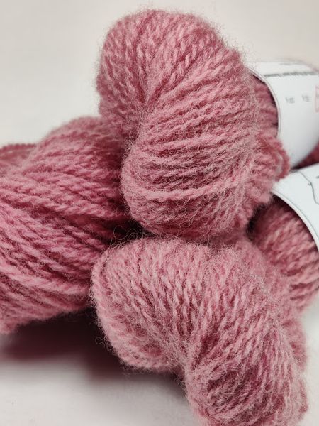 Hovedbilde Kochenille A/KN/1.2-25