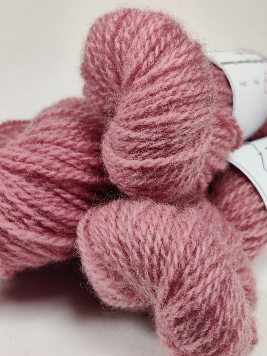 Kochenille A/KN/1.2-25