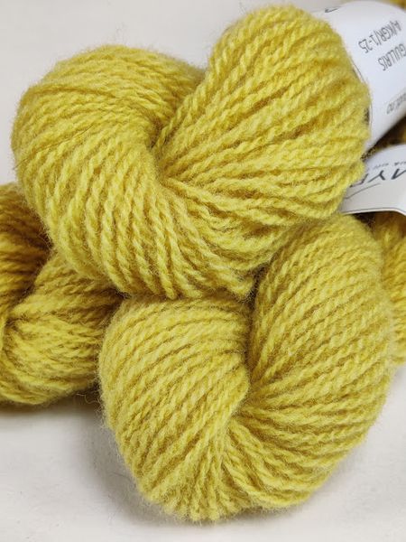 Hovedbilde Kanadagullris A/KGR/1.1-25